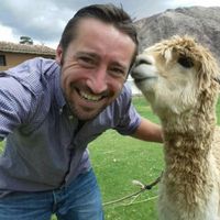 Steffen Merten的照片