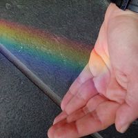 Maria Del Rio的照片