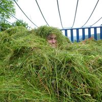 Marie-Christine Dupuis的照片