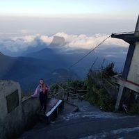 Miriam Warning的照片