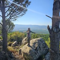 Celile Zelal Kartal的照片