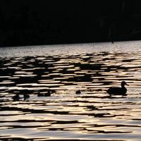 Juliane Imbusch的照片