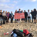 Picnic, Sports, Music and Fun at the Beach's picture