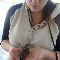 Amélie Pagette-Valade的照片