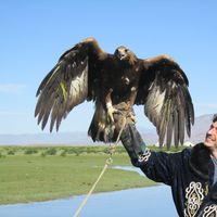 Photos de Eyal Mendel