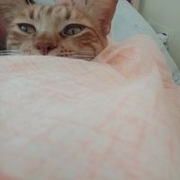 Ekaterina Mykholovich's Photo