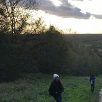 Lana Natour的照片