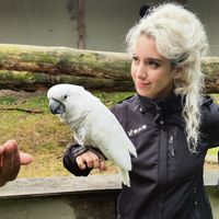 Yagmur Celik的照片