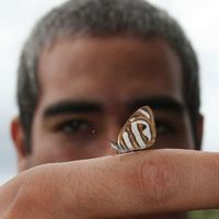 Mario Requelme's Photo