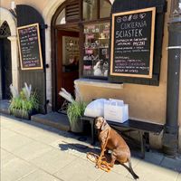 Asia Charytoniuk的照片