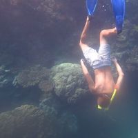 Matthew McNellan的照片