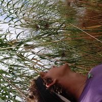 Matthew Ross's Photo