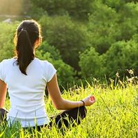 Nguyen Thanh Thao's Photo