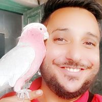 Arch Ibrahim's Photo