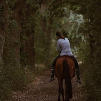 Sarah Schopphoff's Photo