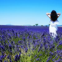 Jennifer Tan的照片