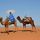 Aziz Zizo's Photo