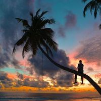 Jared Brewer's Photo