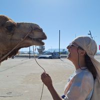 Sofi Reazati的照片