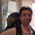 Siamak M's Photo