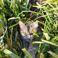 Stephen Kumor的照片