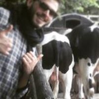 Gal Haze Bartov的照片