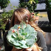 Caroline Shelnut's Photo