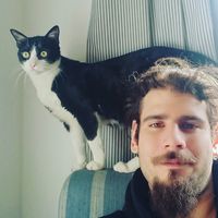 Marco  Monno's Photo