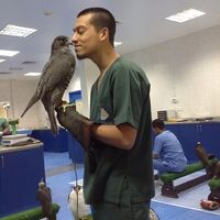 Le foto di Camilo Gonzalez