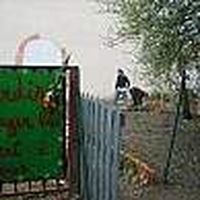 Agnès Cassin's Photo