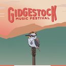 фотография Gidgestock music festival 