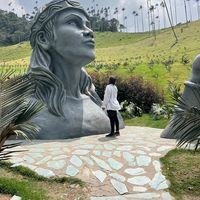 Ross Rodriguez's Photo