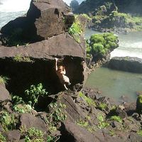 Kory Tippetts's Photo