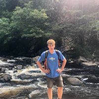 Ferdinand Bärlin's Photo