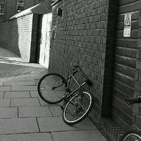 Trang Nguyen's Photo