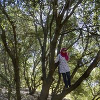 Shatha Misad的照片