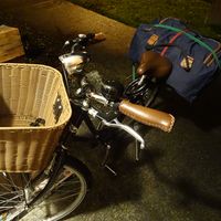 Marine DELALANDE's Photo