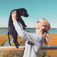 Johanna Kotaniemi的照片