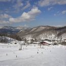 Ski Together In Bankei's picture