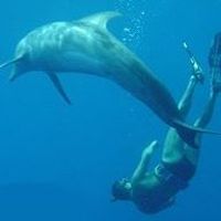 Alberto Bolaños's Photo