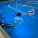 Basic Swimming Skills 's picture