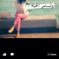 Sara Nassif的照片