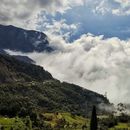 🥾🏴‍☠️  Hiking exploracion Cerro las Minas的照片