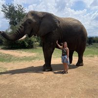 Paula Hickey's Photo