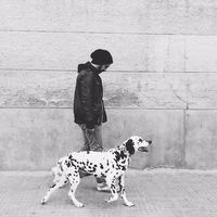 Damián Fuentes的照片