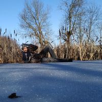 Dzmitry Martynyk的照片