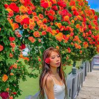 Siti Zavira的照片