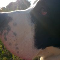 Heidi ten Velde的照片