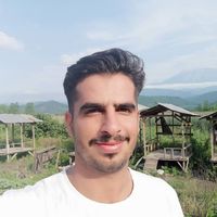 mehrdad abedi的照片