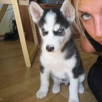 Ausra Pranckeviciute's Photo